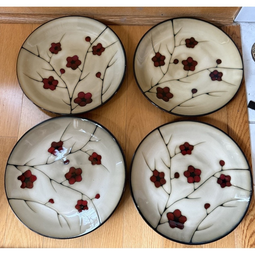 Pfaltzgraff Aster Floral Dinner Plates 11 Inch Diameter ~ Set Of 4